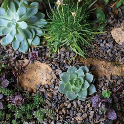 Horticultural Alpine Grit 20kg - Image 2