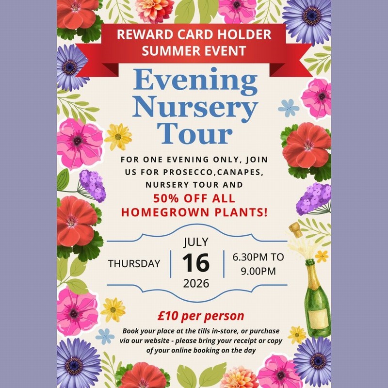 Evening Nursery Tour