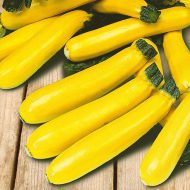 Courgette Soleil F1 Seeds