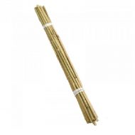 Grow It Bamboo Canes 20pk