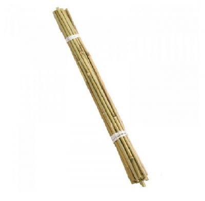 Grow It Bamboo Canes 20pk