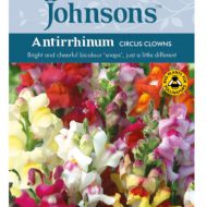 Antirrhinum Circus Clown Seeds