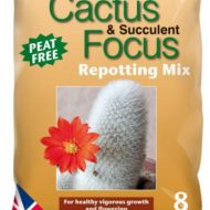 Cactus and Succulent Focus Repotting Mix Peat Free 8L