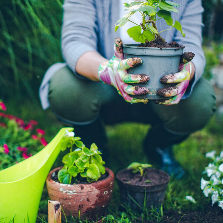 Gardening